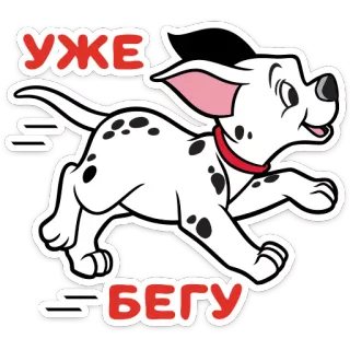 🏃‍♀️ УЖЕ БЕГУ Hund, Dalmatiner, Tier, Welpe, laufend, Cartoon, süß telegram sticker