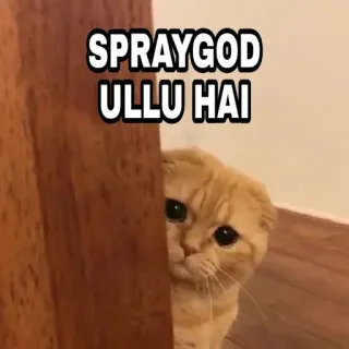 🍁 SPRAYGOD
ULLU HAI Katze, Spraygod, Ullu, Hai, Lustig, Meme, Tier, Haustier telegram sticker