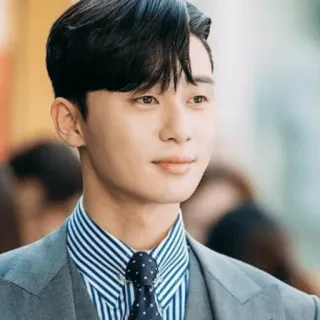 😌 pria, korea, aktor, potret, setelan, pakaian formal telegram sticker