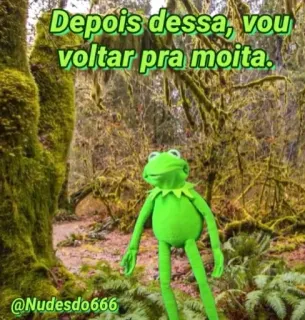 😐 Kermit Depois dessa, vou voltar pra moita. Kermit the Frog, frog, forest, meme, puppet telegram sticker