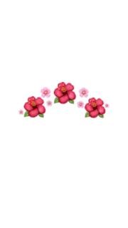 🌺 fiore, floreale, rosso, rosa, ibisco telegram sticker
