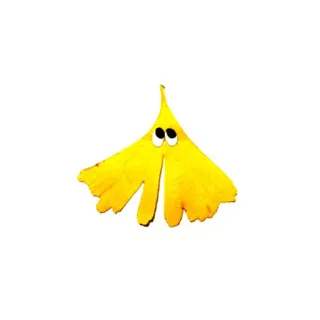 🍁 feuille, jaune, yeux globuleux, nature, automne, automne whatsapp sticker