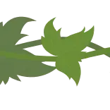 Разделители ч.6 @Sticker_Awwww telegram emojis 🌿