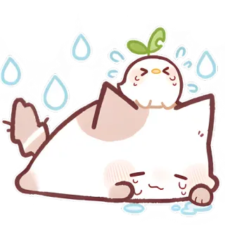 😭 可愛い, 泣く, 猫, 鳥, かわいい, 悲しい, ステッカー whatsapp sticker