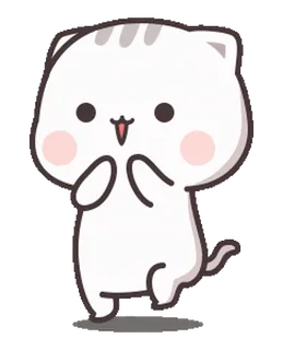 🤩 gato, fofo, animal, adesivo telegram sticker