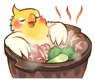 😌 oiseau, cockatiel, fondue chinoise, nourriture, mignon, animal, cuisine whatsapp sticker