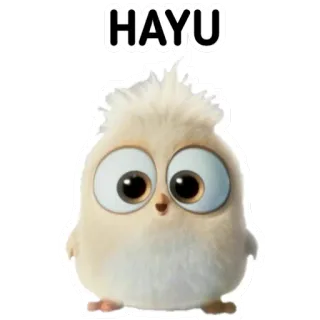 🙃 HAYU pájaro, lindo, animal, dibujos animados, pegatina telegram sticker