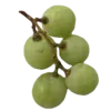 green witch @oxewio @TgEmodziBot telegram emojis 🍇