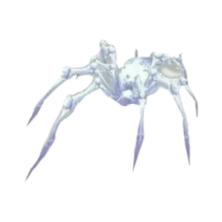 🕸️ araignée, arachnide, insecte, créature, animal, blanc, squelette, os whatsapp sticker