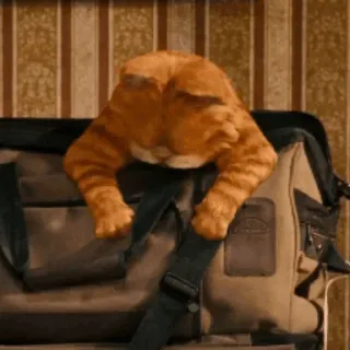 🤣 Garfield cat, suitcase, orange cat, cartoon character, garfield the cat telegram sticker
