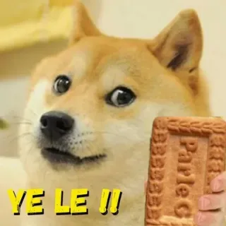🍪 YE LE !!! doge, perro, meme, galleta, comida telegram sticker