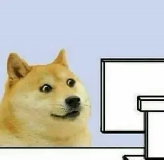 😃 Doge doge, mem, pies, komputer, internet, śmieszne telegram sticker