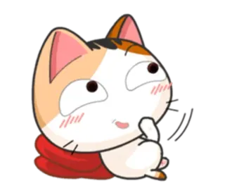 🌝 chat, mignon, autocollant, dessin animé, animal, adorable whatsapp sticker