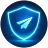 🛡