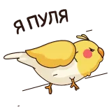 🏃 птица, корелла, животное, милый, желтый telegram sticker