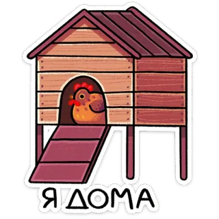⭐ Я ДОМА kurczak, kurnik, dom, zwierzę, zwierzę domowe, ptak, rosyjski telegram sticker