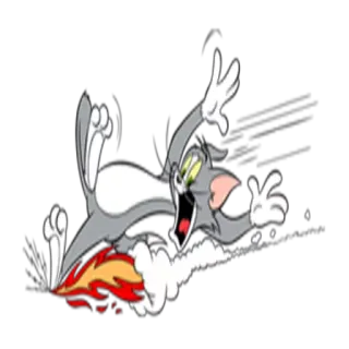 👣 Tom Cat Tom and Jerry cartoon, cat, funny, animated, Tom and Jerry, rocket telegram sticker