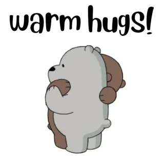 🐻‍❄️ warm hugs! ours, câlins, mignon, dessin animé, amitié, amour, affection whatsapp sticker