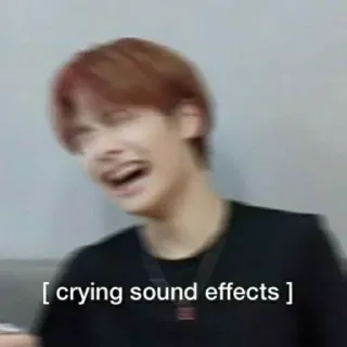 😭 crying sound effects 泣く, 効果音, ミーム, 感情, 悲しい, 表情, 人 whatsapp sticker