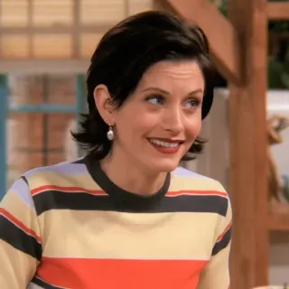 😀 Monica Geller Friends donna, persona, attrice, ritratto, sorriso telegram sticker