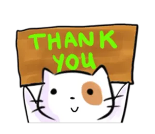 🙏 THANK YOU chat, merci, salutation, animal, mignon, autocollant telegram sticker