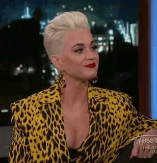 ✨ Katy Perry 歌手, 流行明星, 名人, 女性, 金发, 肖像 whatsapp sticker