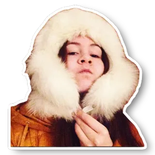 😎 vrouw, bontkraag, winter, portret, sticker telegram sticker