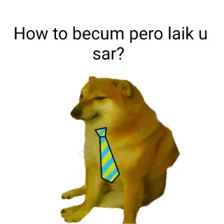 GÀRøÙs kang pack telegram stickers