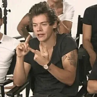 🐰 Harry Styles harry styles, singer, celebrity, one direction, gesture telegram sticker