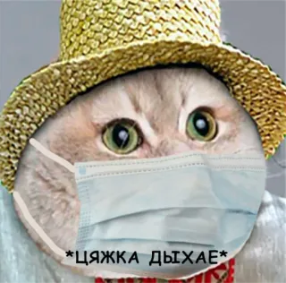 😷 *цяжка дыхае* Katze, Maske, Ukraine telegram sticker