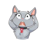 😳 猫, 震惊, 担心, 猫科动物, 动物, 卡通, 贴纸 telegram sticker