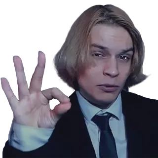 👌 person, portrait, suit, hand gesture telegram sticker