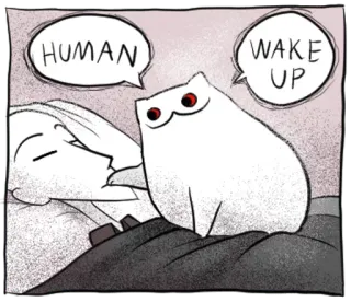 🔴 HUMAN WAKE UP cat, human, sleeping, wake up, cartoon, pet, animal telegram sticker