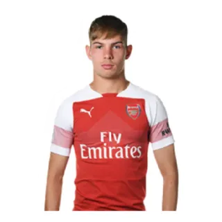 🏴󠁧󠁢󠁥󠁮󠁧󠁿 soccer, football, arsenal, team, sports, player telegram sticker