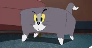 🤨 Tom Cat Tom and Jerry Cartone animato, Gatto, Animale, Divertente, Meme, Deformato, Schiacciato telegram sticker