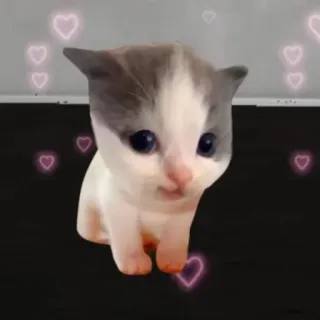 ❤️ 小猫, 猫, 可爱, 爱心, 动物 telegram sticker