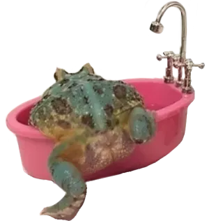 🛁 kikker, bad, badkuip, dier, schattig, blauw, roze telegram sticker