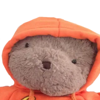 😕 teddy bear, hoodie, stuffed animal, toy, cute, plush, orange hoodie, animal telegram sticker