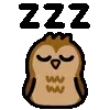 🦉
