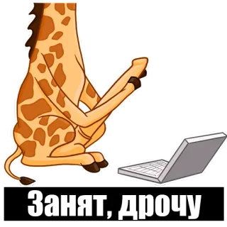 😚 Занят, дрочу girafe, ordinateur, dessin animé, humour, internet whatsapp sticker