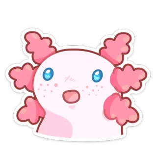 😳 axolotl, autocollant, mignon, animal, dessin animé whatsapp sticker
