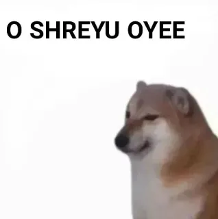 ✨ O SHREYU OYEE doge, dog, meme, pet, animal telegram sticker