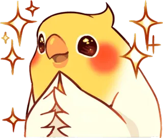 😍 オカメインコ, 鳥, 可愛い, キラキラ, 動物, 幸せ, かわいい telegram sticker