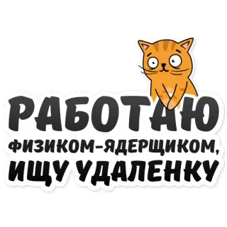 👨‍🔧 РАБОТАЮ ФИЗИКОМ-ЯДЕРЩИКОМ, ИЩУ УДАЛЕНКУ gatto, russo, lavoro, fisica, fisica nucleare, lavoro da remoto, ricerca lavoro telegram sticker
