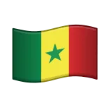 🇸🇳