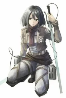 🖕 Mikasa Ackerman Attack on Titan Anime, Charakter, Mikasa, Attack on Titan, Waffe, Militär telegram sticker