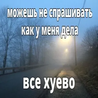 😌 можешь не спрашивать
как у меня дела
все хуево Text, Russisch, Beleidigend, Stimmung, Negativ, Zitat, Straße telegram sticker