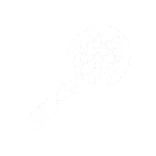 🏸