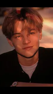 💔 Leonardo DiCaprio actor, retrato, celebridad, Leonardo DiCaprio, guapo, hombre whatsapp sticker