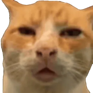 😲